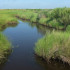 McFaddin National Wildlife Refuge