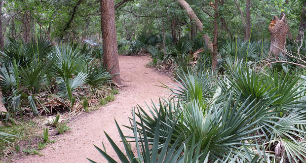 Palmetto State Park