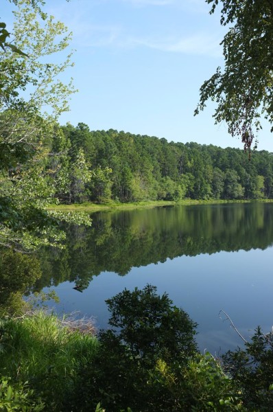 Daingerfield State Park – DearTexas,